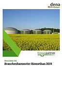 dena-ANALYSE: Branchenbarometer Biomethan 2019