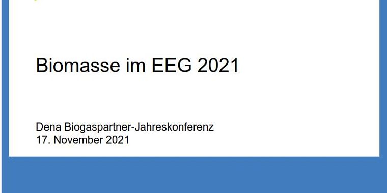 Biomasse im EEG 2021