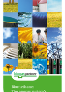 Broschüre: Biomethane: The energy system‘s all-rounder. 2016