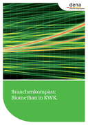 Broschüre: Der Branchenkompass: Biomethan in KWK.